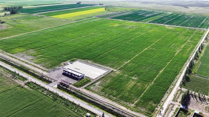 1761616819814021.jpg b62e725a1e8209fd516ccad7f2d1a880_auto-orient,1.jpg